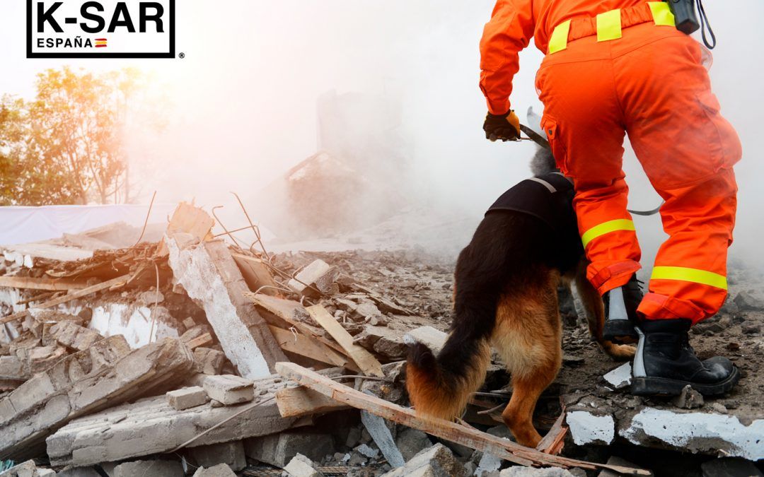 K-SAR España, búsqueda y rescate